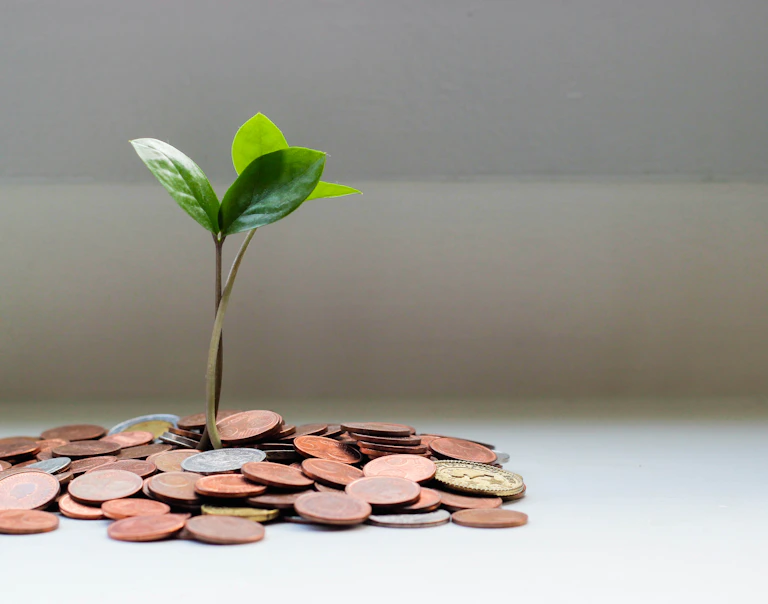 Faire fructifier la trésorerie de l'entreprise